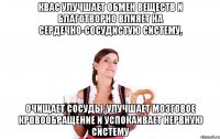 квас улучшает обмен веществ и благотворно влияет на сердечно-сосудистую систему, очищает сосуды, улучшает мозговое кровообращение и успокаивает нервную систему