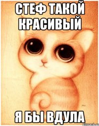 стеф такой красивый я бы вдула