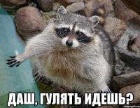  даш, гулять идешь?