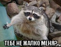  тебе не жалко меня?