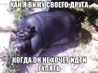 как я вижу своего друга когда он не хочет идти гулять