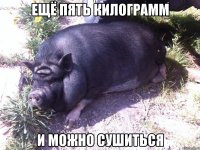 ещё пять килограмм и можно сушиться