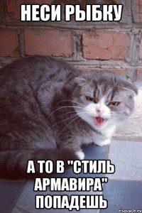 неси рыбку а то в "стиль армавира" попадешь