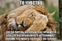 то чувство когда парень который тебе нравится боксер, который ничего не понимает, потому что много получает по голове!