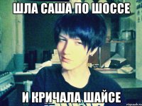 шла саша по шоссе и кричала шайсе