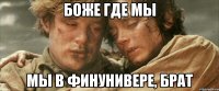 боже где мы мы в финунивере, брат