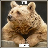 это косяк