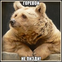горевой не пизди!