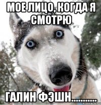 мое лицо, когда я смотрю галин фэшн...........