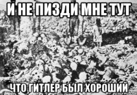 и не пизди мне тут что гитлер был хороший