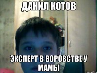 данил котов эксперт в воровстве у мамы
