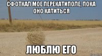 сфоткал мое перекатиполе, пока оно катиться люблю его
