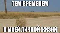 тем временем в моей личной жизни