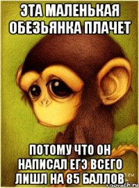 эта маленькая обезьянка плачет потому что он написал егэ всего лишл на 85 баллов