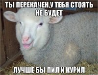 ты перекачен,у тебя стоять не будет лучше бы пил и курил