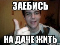 заебись на даче жить