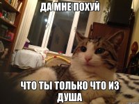 да мне похуй что ты только что из душа