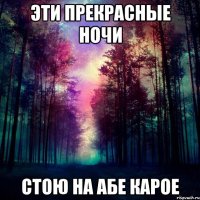 эти прекрасные ночи стою на абе карое