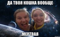 да твоя кошка вообще мертвая