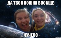 да твоя кошка вообще чучело
