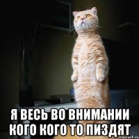  я весь во внимании кого кого то пиздят