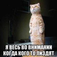  я весь во внимании когда кого то пиздят
