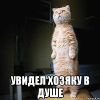  увидел хозяку в душе
