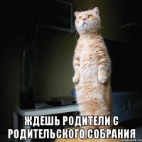  ждешь родители с родительского собрания