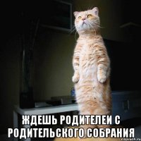 ждешь родителеи с родительского собрания