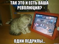 так это и есть ваша революция? одни педрилы...