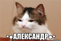  •●александр●•