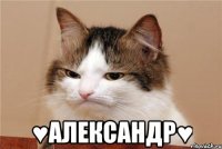  ♥александр♥
