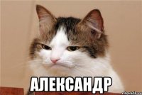  александр
