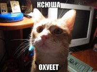 ксюша охуеет