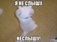 я не слышу неслышу!