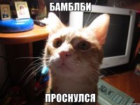 бамблби проснулся