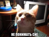 я не понимать сие