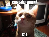 самый лучший кот