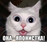  она - японистка!
