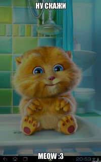 ну скажи meow :3