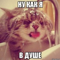 ну как я в душе