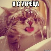 я с утреца 