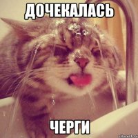 дочекалась черги