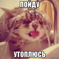 пойду утоплюсь