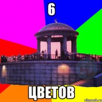 6 цветов