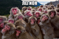 легион 
