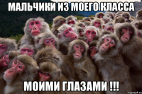 мальчики из моего класса моими глазами !!!