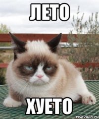 лето хуето