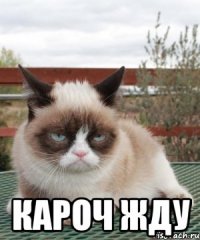  кароч жду