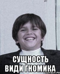  сущность види гномика